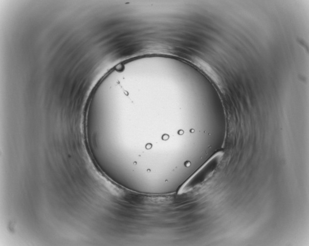 X0000093391339200710251232