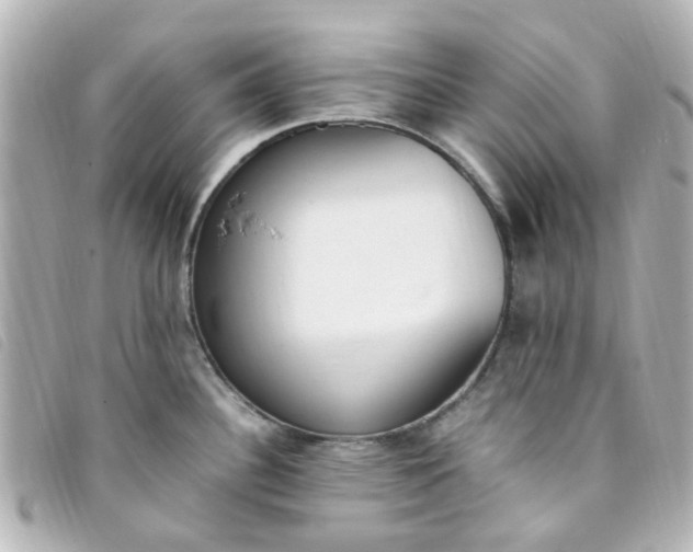 X0000093391340200710251232