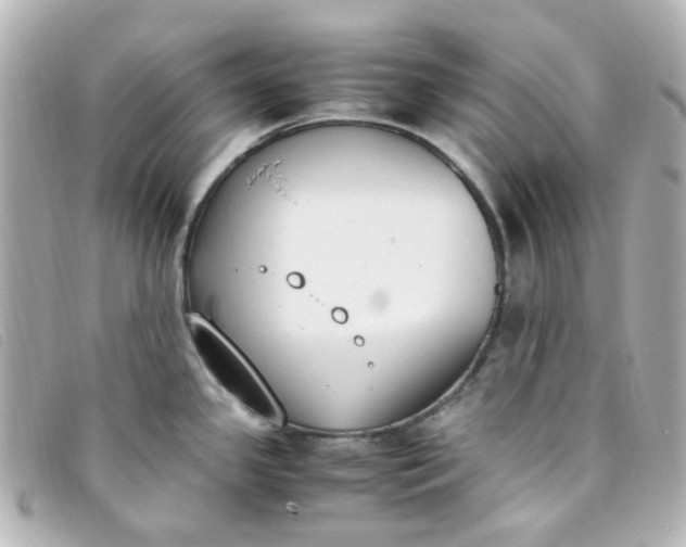 X0000093391341200710251232