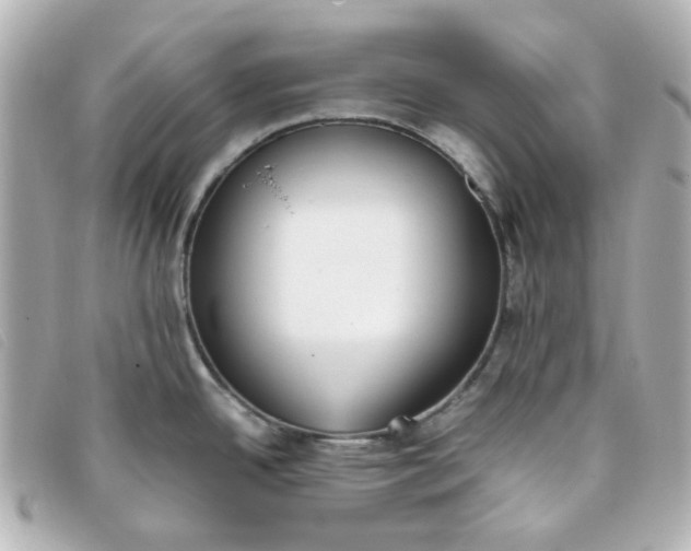 X0000093391342200710251232