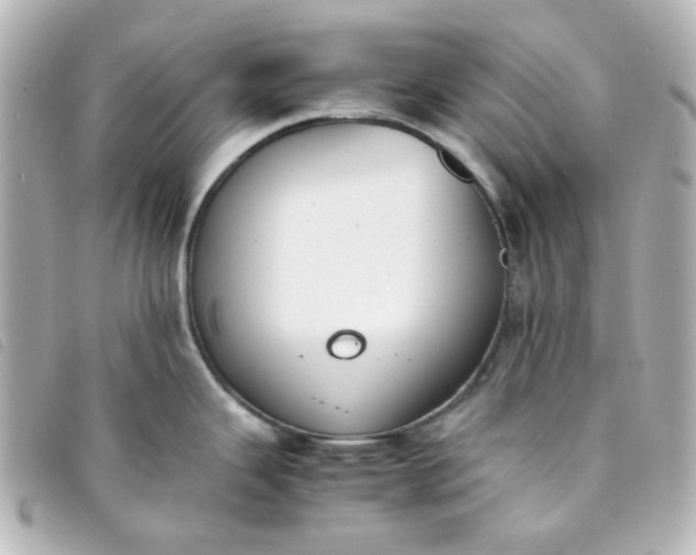 X0000093391343200710251232