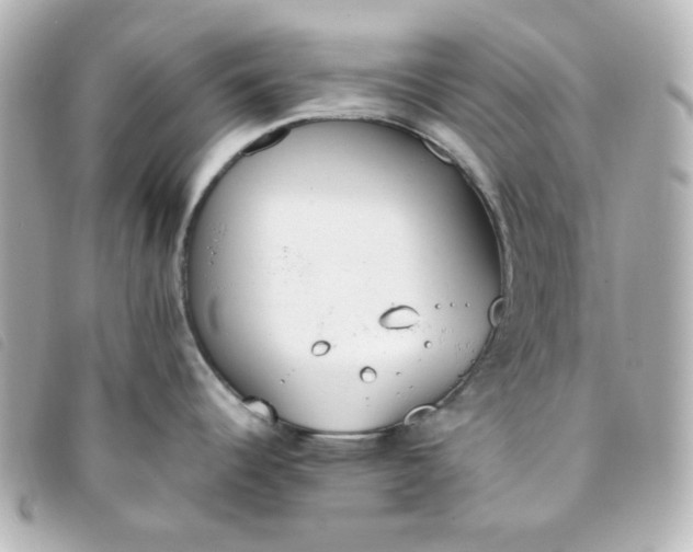 X0000093391344200710251232