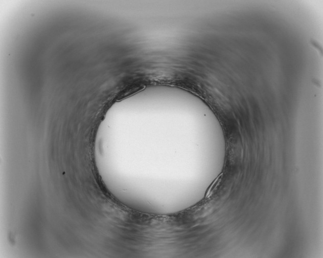 X0000093391345200710251231