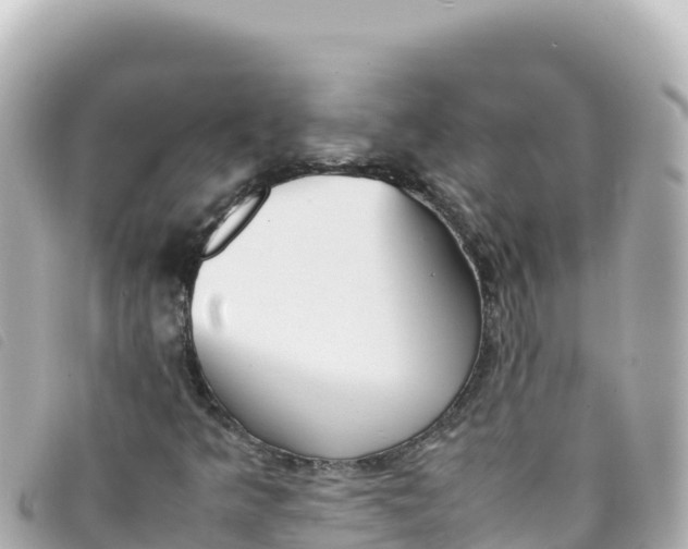 X0000093391349200710251231