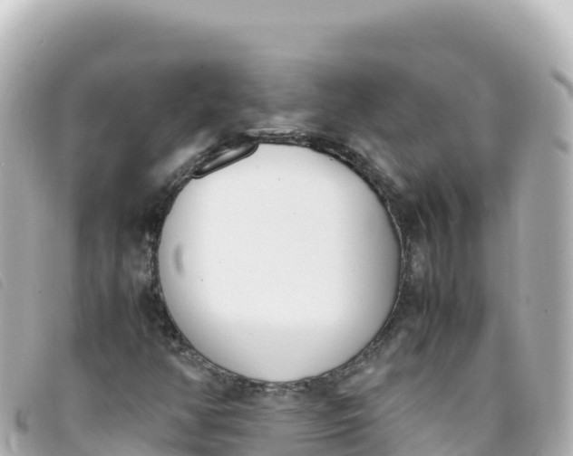 X0000093391350200710251231