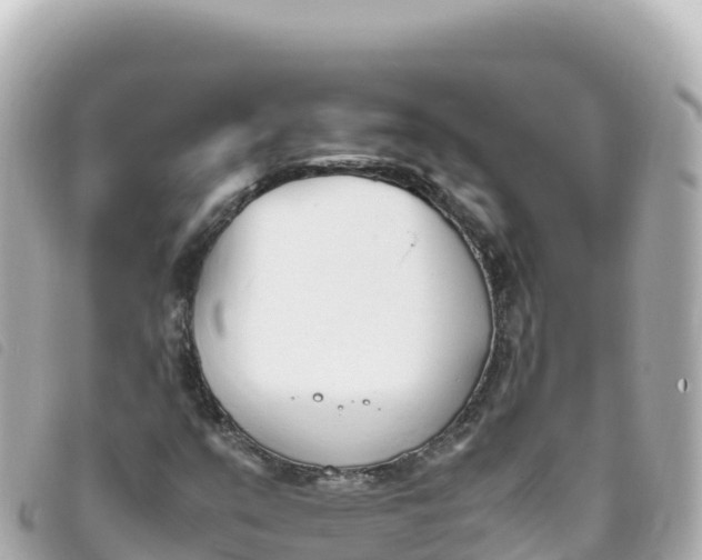 X0000093391351200710251231