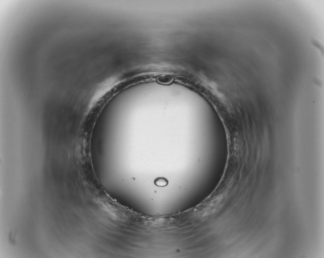 X0000093391352200710251231