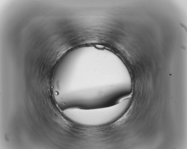 X0000093391353200710251231