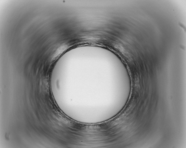 X0000093391354200710251231