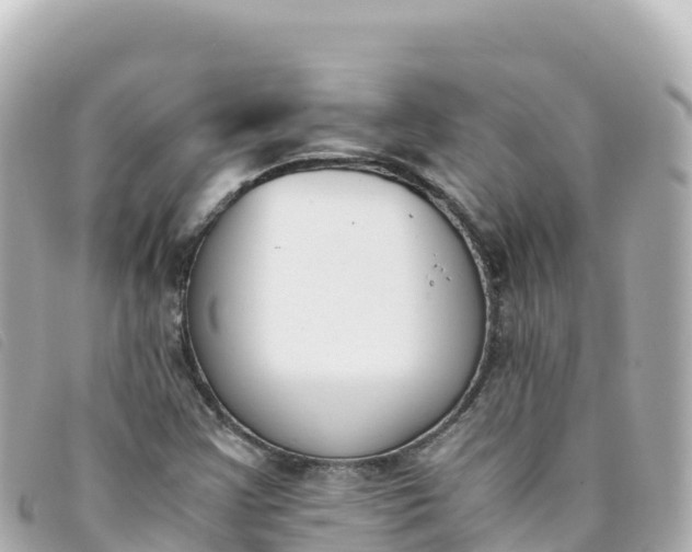 X0000093391355200710251231