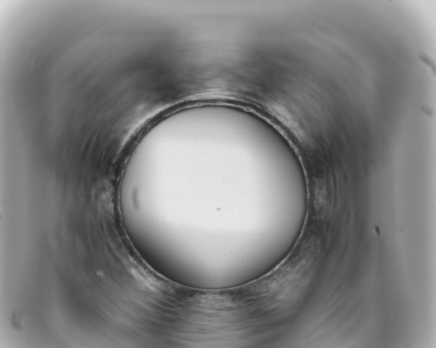 X0000093391356200710251231