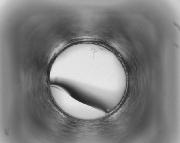 X0000093391357200710251231