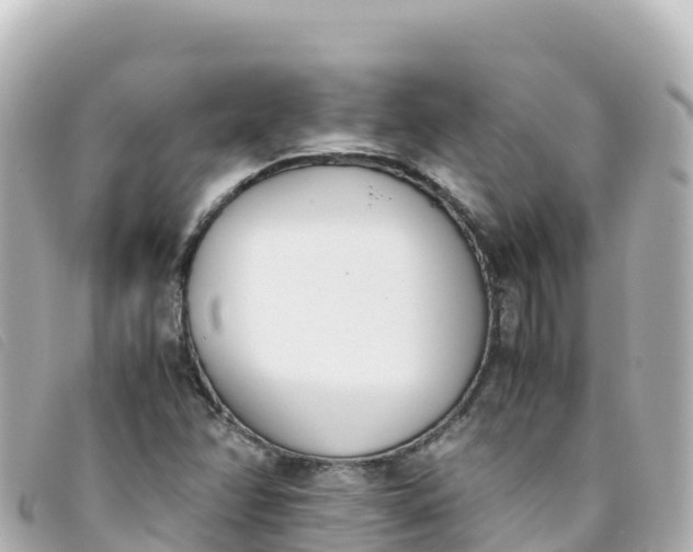 X0000093391358200710251231