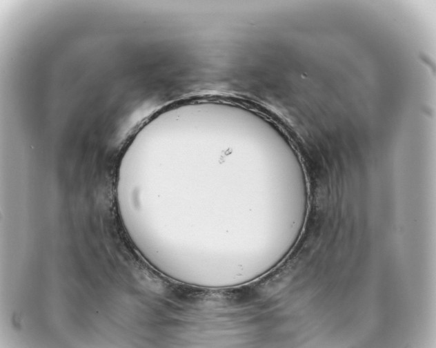 X0000093391359200710251231