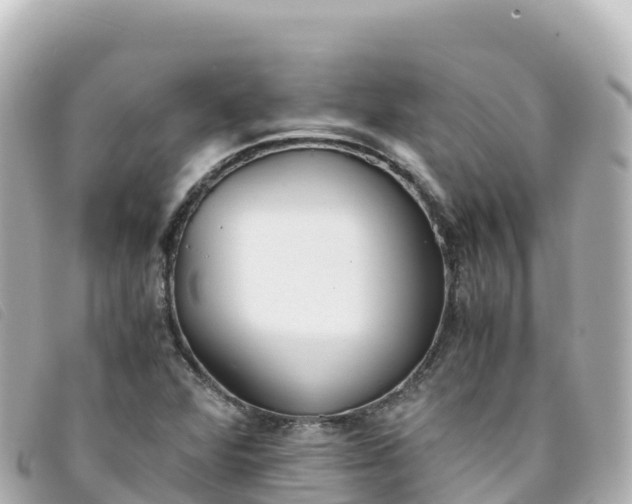 X0000093391360200710251231