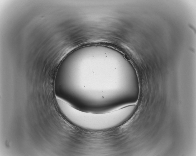 X0000093391361200710251231