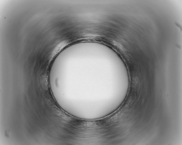 X0000093391362200710251231