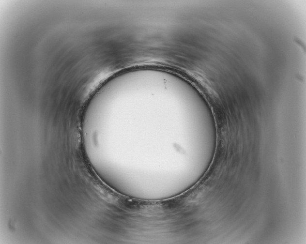 X0000093391363200710251231