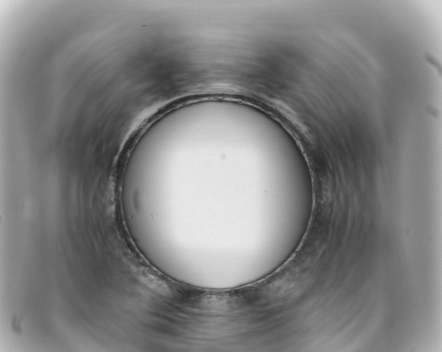 X0000093391364200710251231