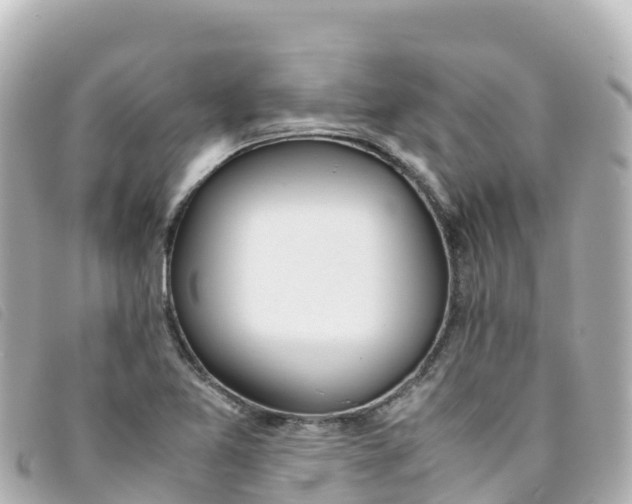 X0000093391365200710251231