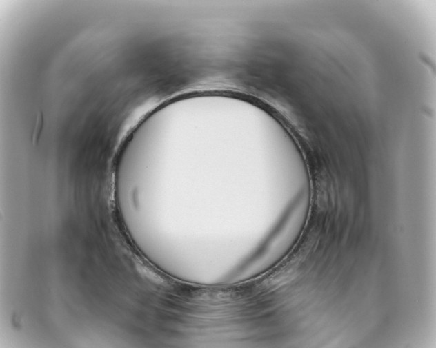 X0000093391366200710251231