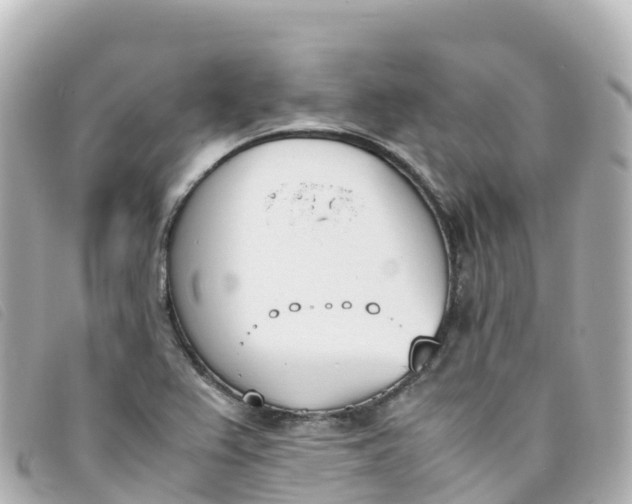 X0000093391367200710251231