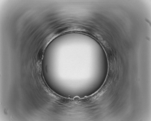 X0000093391369200710251231