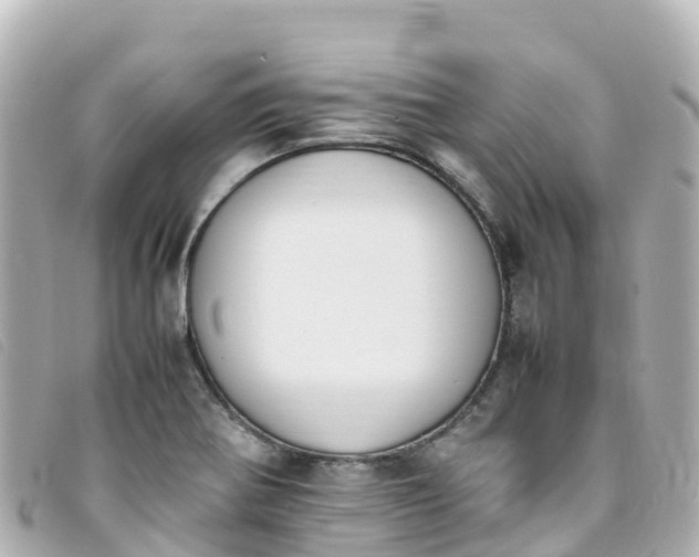 X0000093391370200710251231