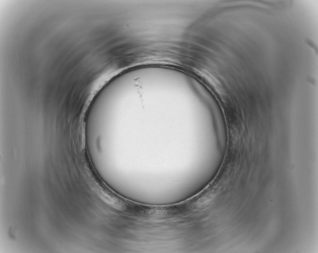 X0000093391371200710251231