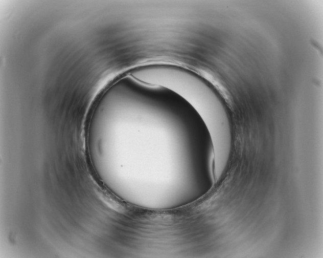 X0000093391372200710251231