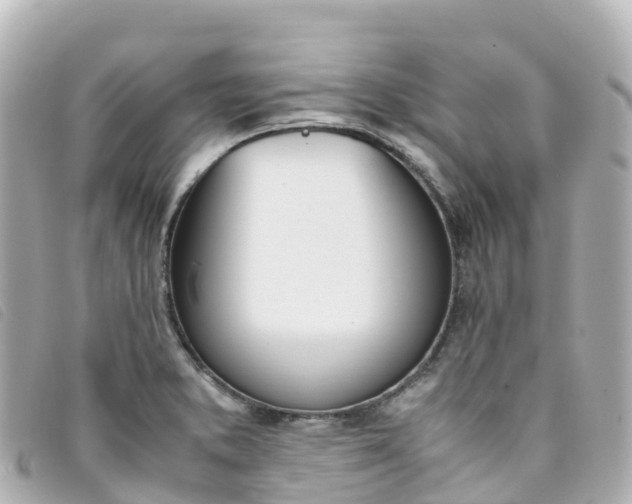 X0000093391373200710251231