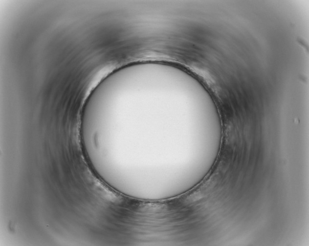 X0000093391374200710251231