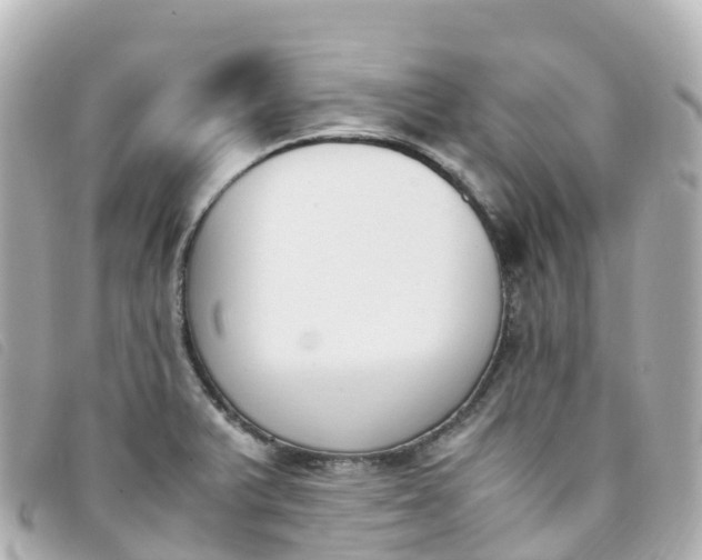 X0000093391375200710251231