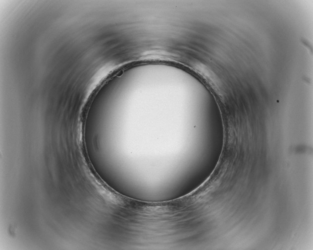 X0000093391376200710251231