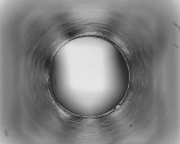 X0000093391377200710251231