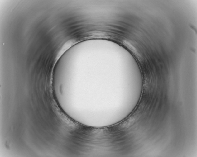 X0000093391378200710251231