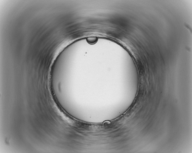 X0000093391379200710251231