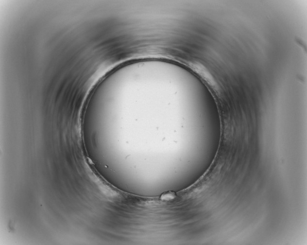 X0000093391380200710251231