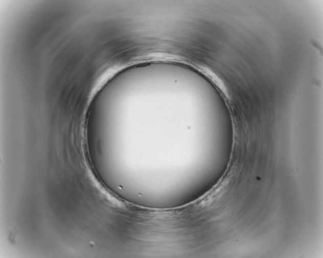 X0000093391381200710251231