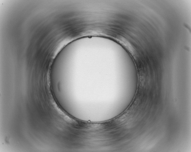 X0000093391382200710251231