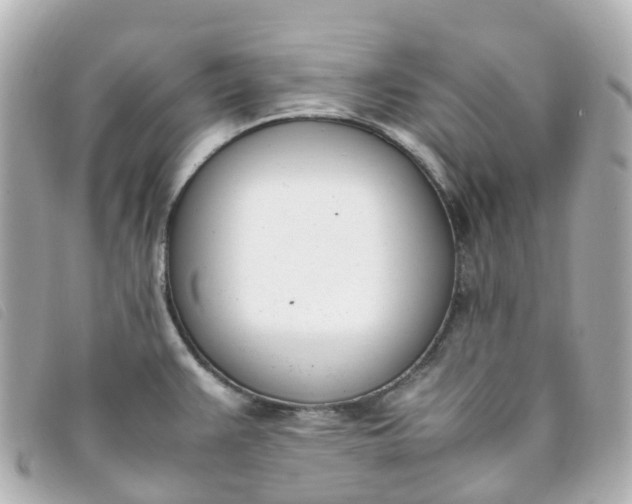 X0000093391383200710251231