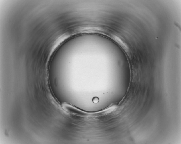 X0000093391384200710251231