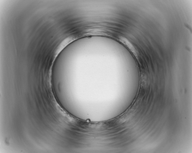 X0000093391386200710251231