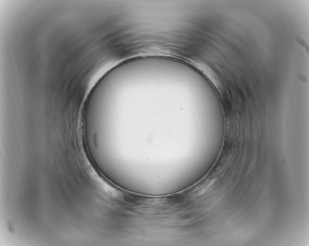 X0000093391387200710251231