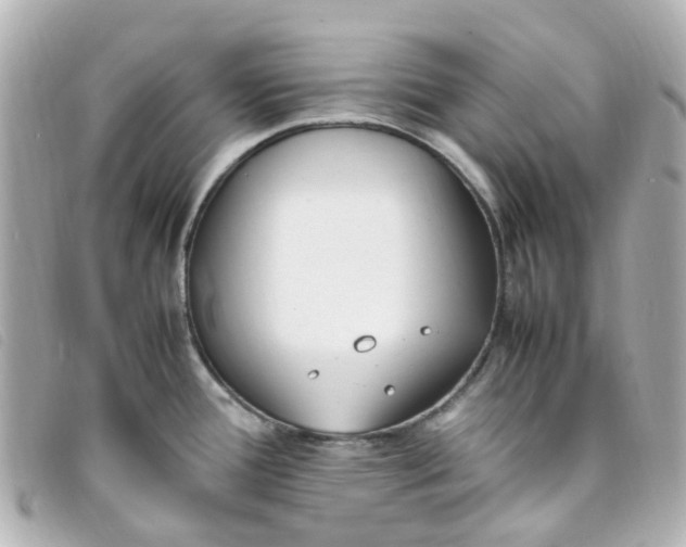 X0000093391388200710251231