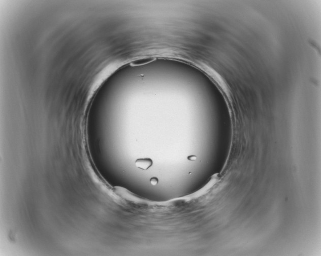 X0000093391389200710251231