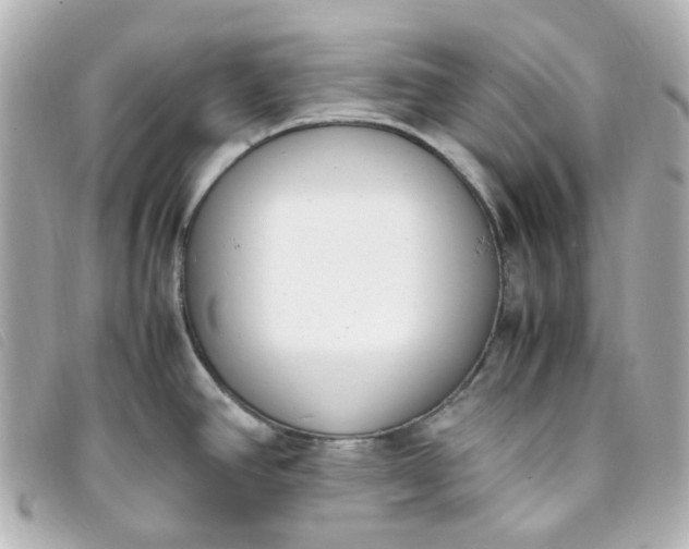 X0000093391390200710251231