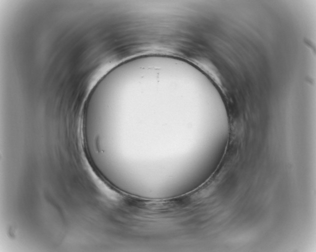 X0000093391391200710251231