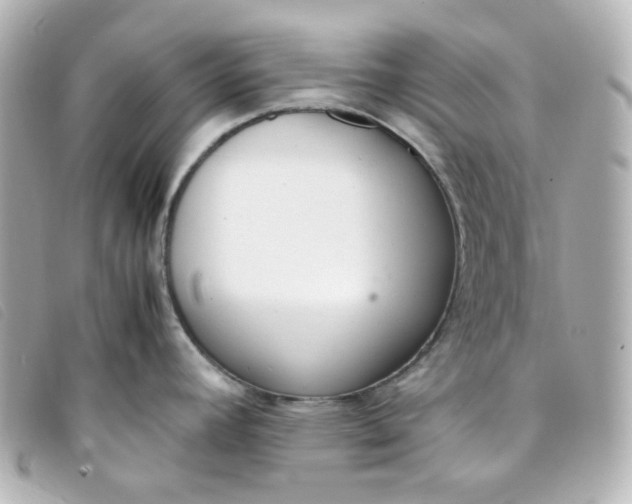 X0000093391392200710251231