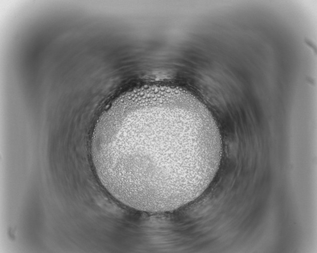 X0000093391393200710251230